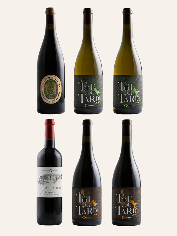 Box « Immersion Château Chatard » (6 bouteilles)