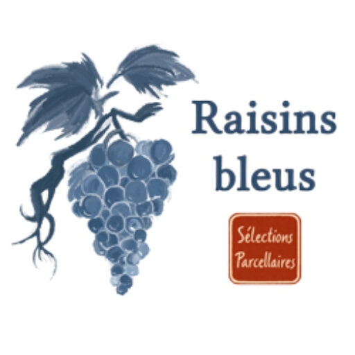 Raisins bleus logo